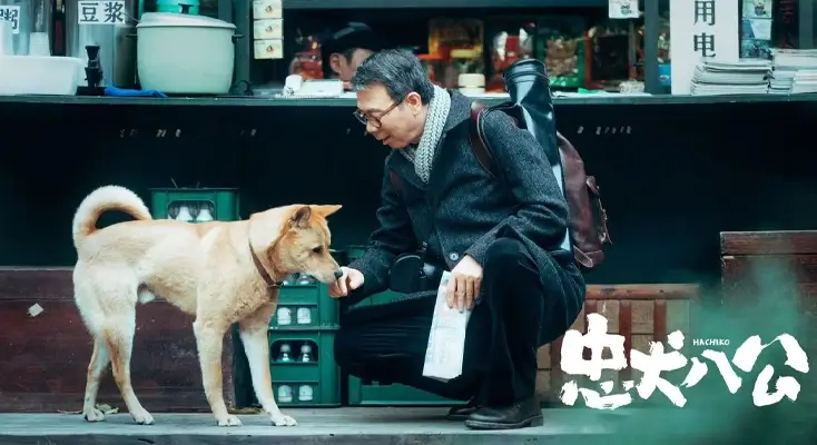 地区限制如何解决